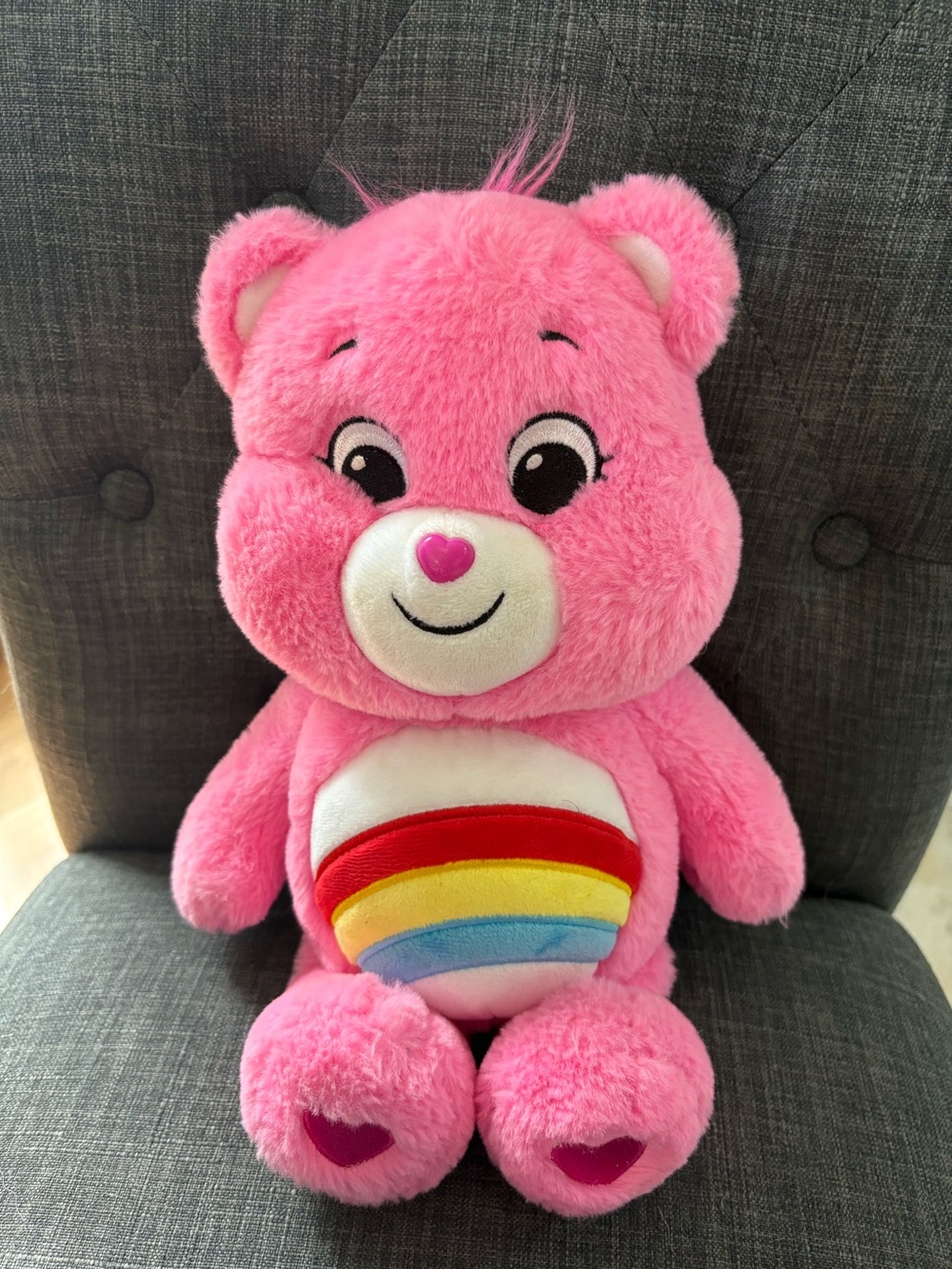 Care Bears Cheer Bear.
Pink Rainbow Belly Plush - Hot Pink Fur